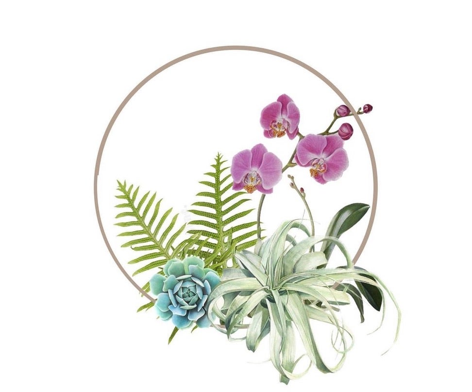 Shop All Waipua Gardens Kaua'i Tillandsia & Shell Shop